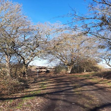 Exklusive Naturoase Direkt Am Ars Natura Wanderweg Mit Panoramablick Auf Melsungen Extérieur photo
