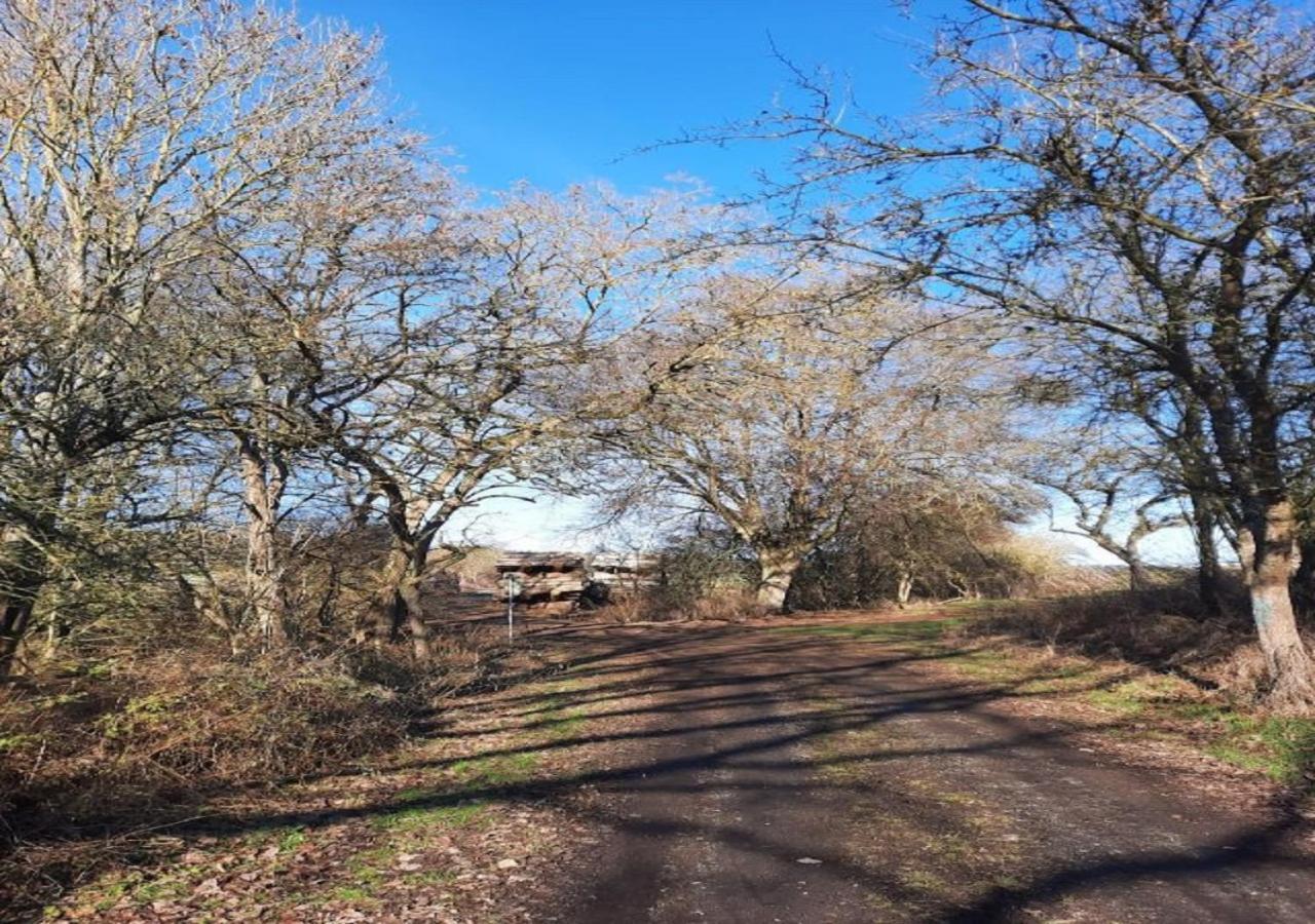 Appartement Exklusive Naturoase Direkt Am Ars Natura Wanderweg Mit Panoramablick Auf Melsungen Extérieur photo